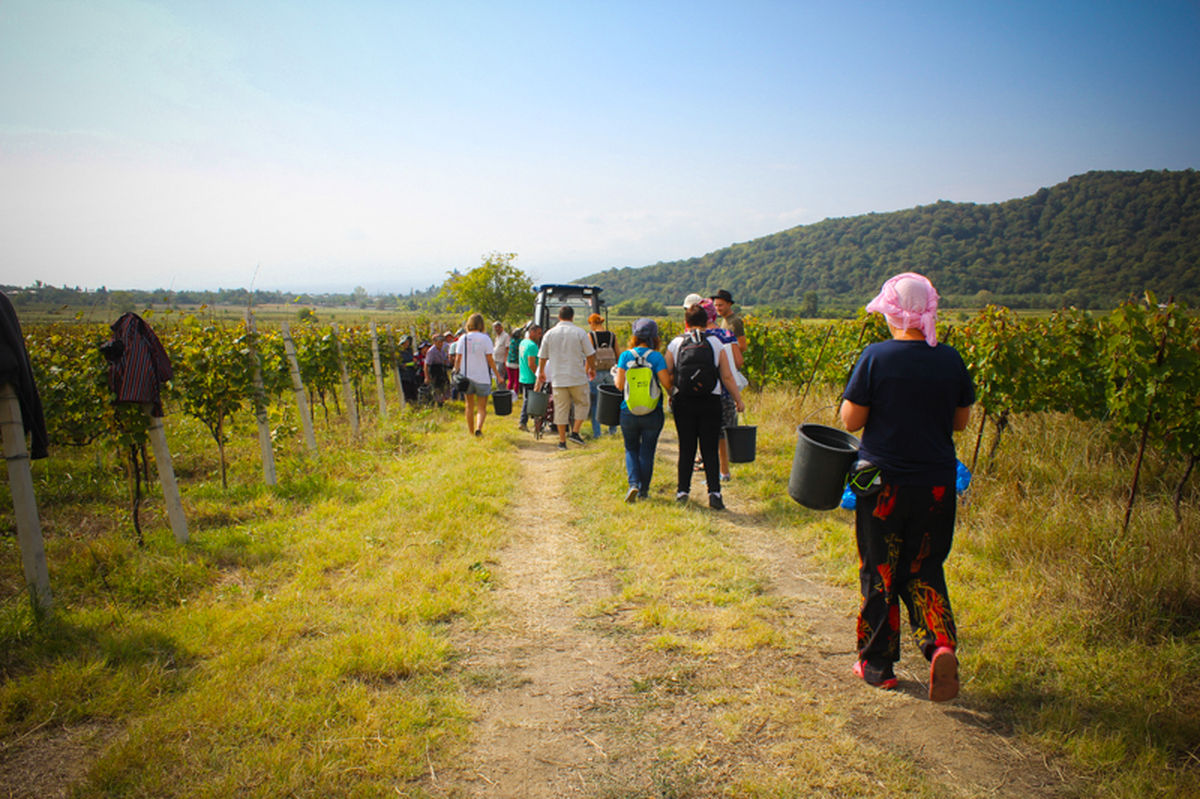 ERTSYD_Training_Georgia-45