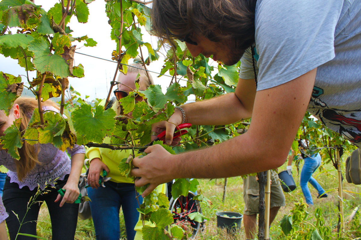 ERTSYD_Training_Georgia-51